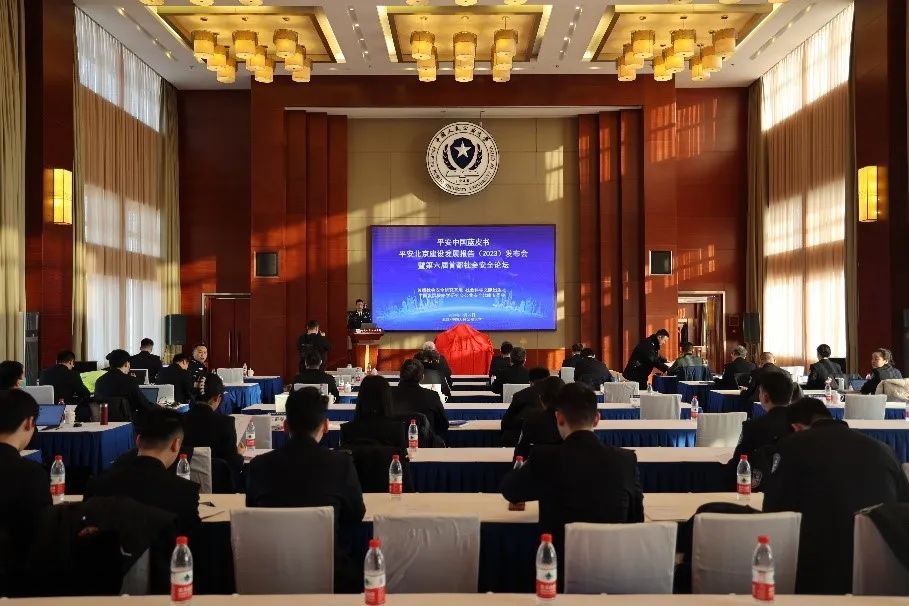中国发展战略学研究会公共安全战略专委会2023年学术年会顺利举行