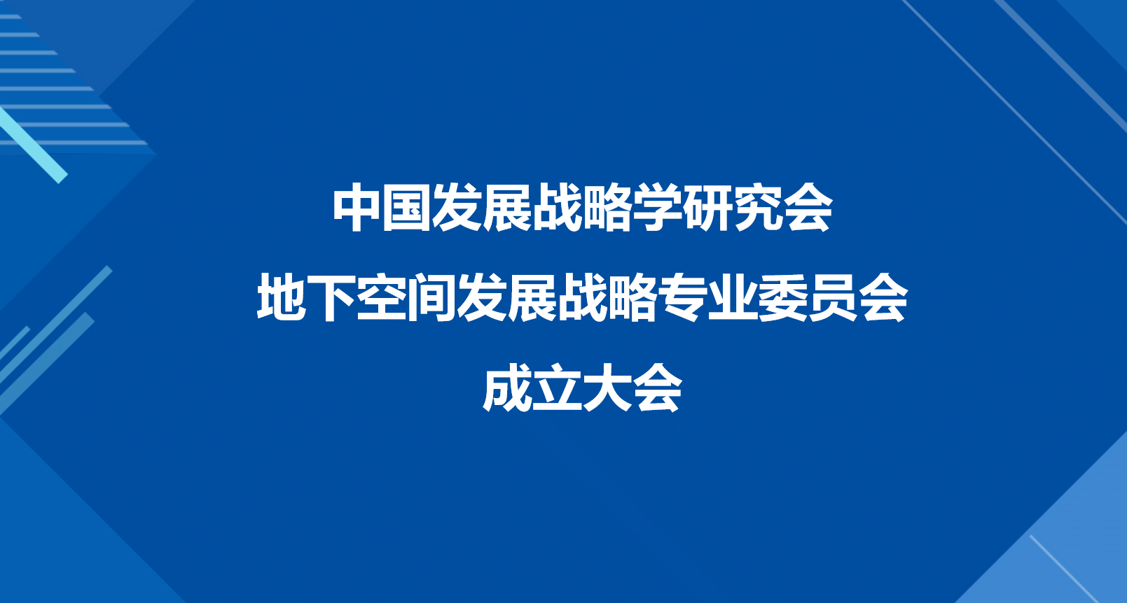 中国发展战略学研究会成立地下空间发展战略专业委员会